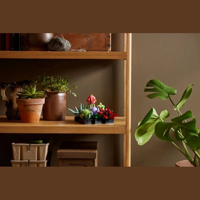 LEGO Succulents (10309) by LEGO