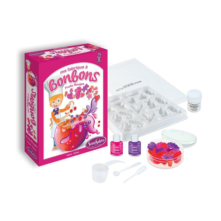 MINI FABRIQUE A BONBONS Fruits Rouges by Sentosphere