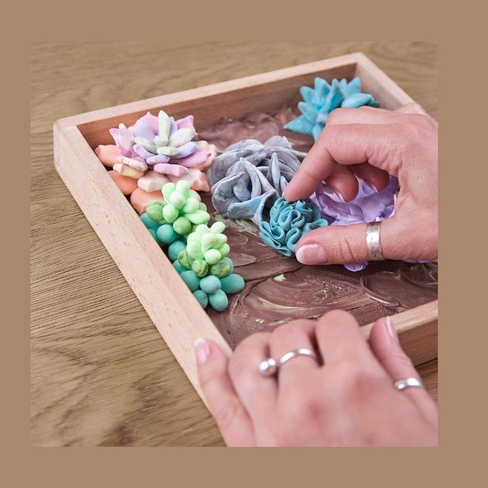 OKTO Wood&Craft DIY Succulents by OKTO