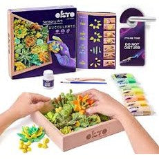 OKTO Wood&Craft DIY Succulents by OKTO