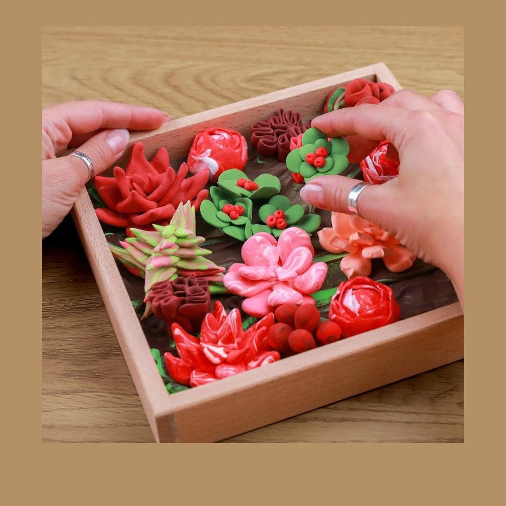 OKTO Wood&Craft DIY Succulents by OKTO