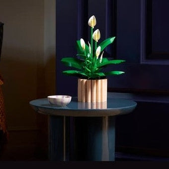 LEGO Peace Lily (11504) by LEGO