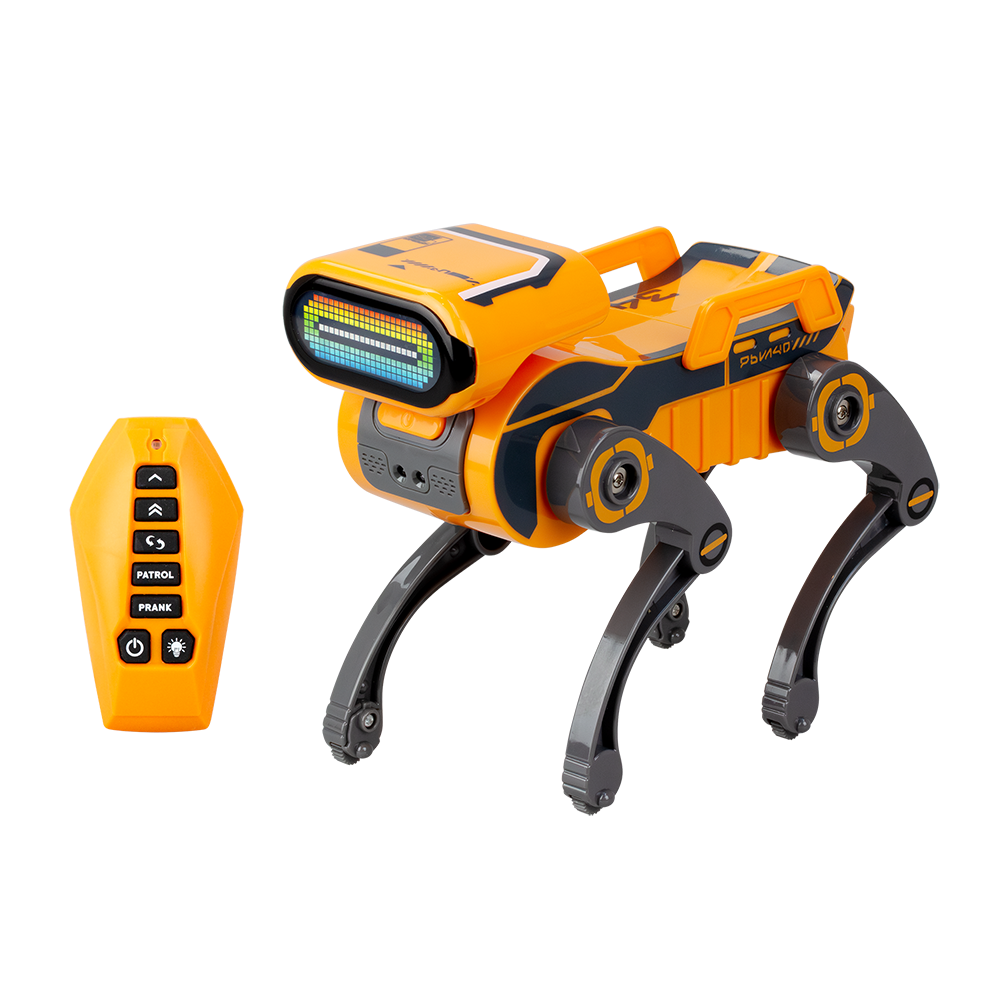 ROBO EXPRESS by Silverlit