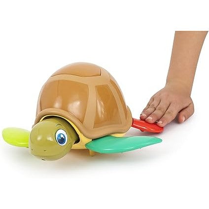 TURTLE FUN by Splash
