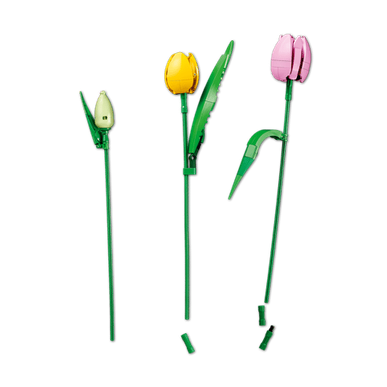 LEGO Tulip Bouquet (11501) by LEGO
