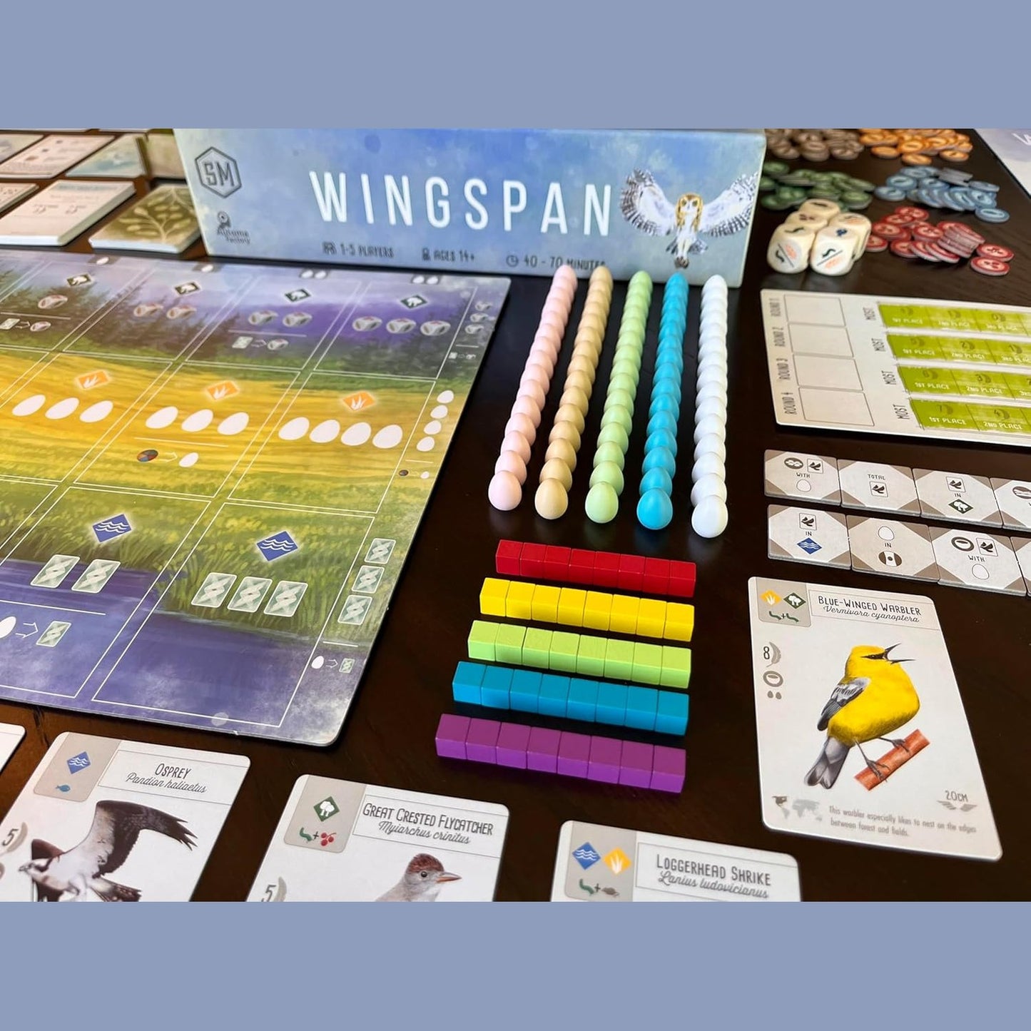 Wingspan (Base Game) by Superheated Neurons