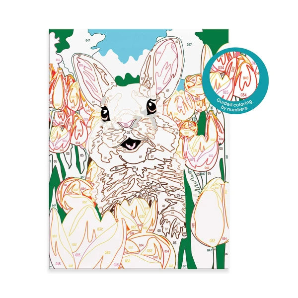 Paint & Frame " Cheerful Bunny" by AS Art